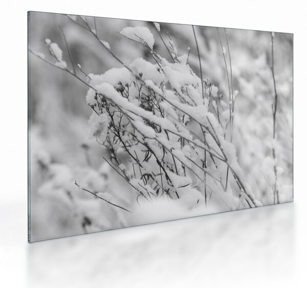 Obraz na szkle - Ośnieżone gałęzie (70x50 cm)