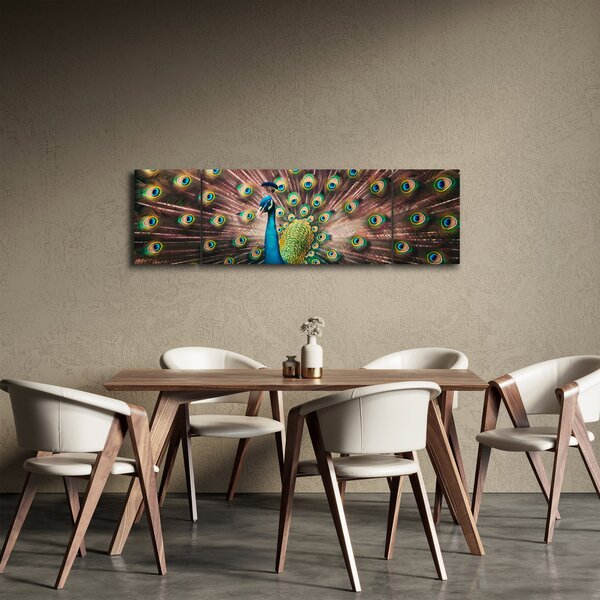 Obraz - Paw (170x50 cm)