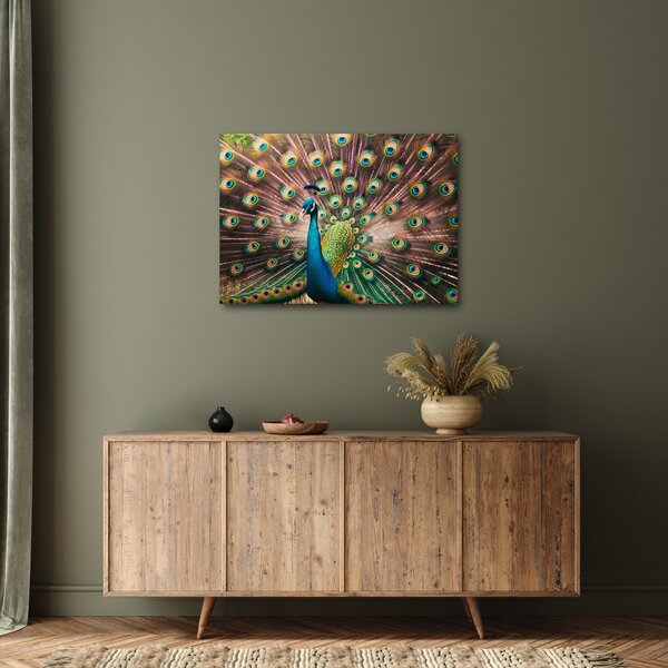 Obraz - Paw (70x50 cm)