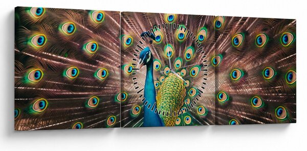 Obraz - Paw (z zegarem) (90x30 cm)