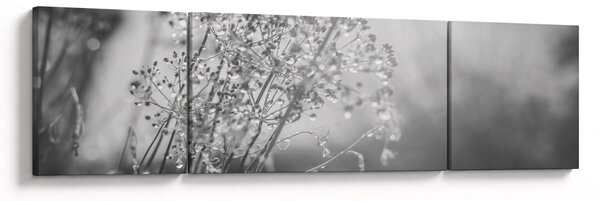 Obraz - Łąka po deszczu (170x50 cm)