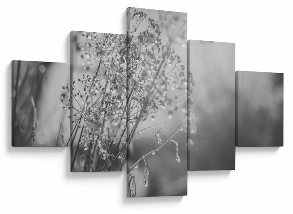 Obraz - Łąka po deszczu (125x70 cm)