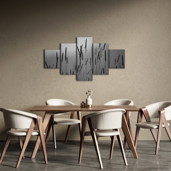 Obraz - źdźbła trawy (125x70 cm)