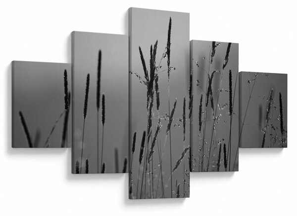 Obraz - źdźbła trawy (125x70 cm)