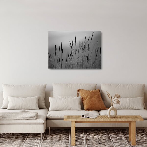 Obraz na szkle - źdźbła trawy (70x50 cm)