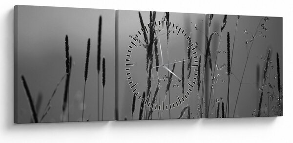 Obraz - źdźbła trawy (z zegarem) (90x30 cm)