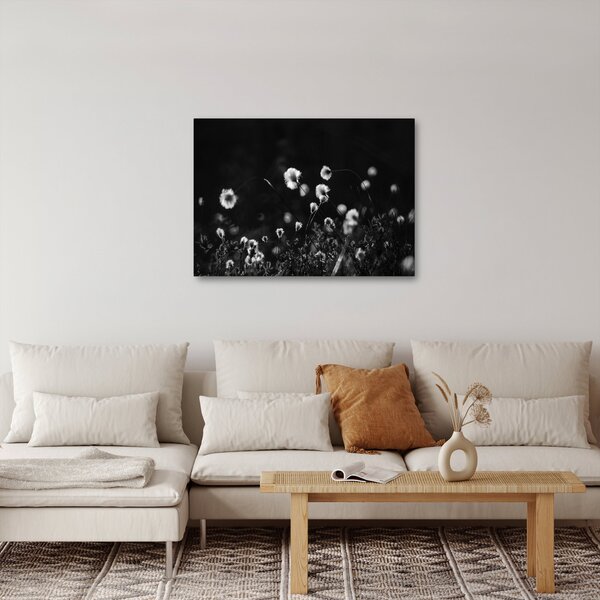 Obraz - Łąka z trawą bawełnianą N⁰1 (70x50 cm)