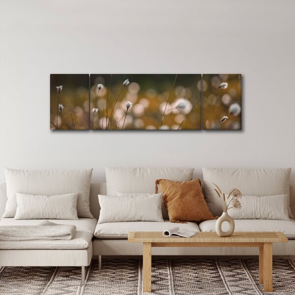 Obraz - Łąka z trawą bawełnianą N⁰2 (170x50 cm)