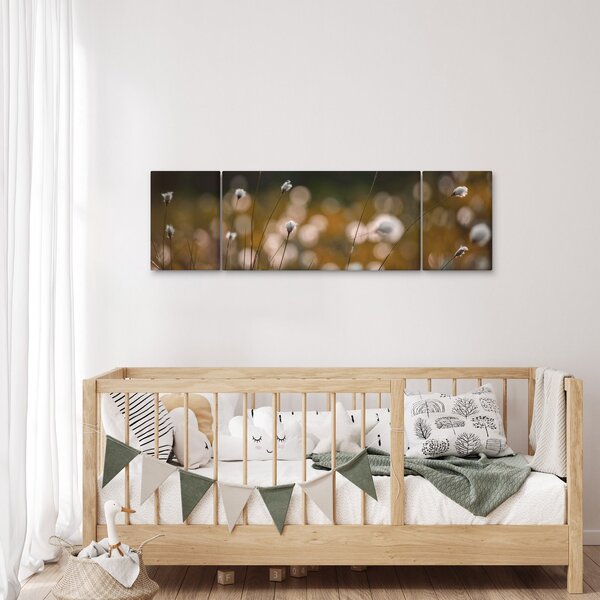 Obraz - Łąka z trawą bawełnianą N⁰2 (170x50 cm)