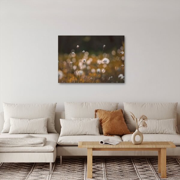 Obraz - Łąka z trawą bawełnianą N⁰2 (70x50 cm)