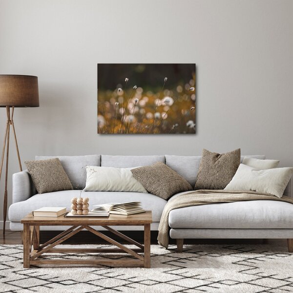 Obraz - Łąka z trawą bawełnianą N⁰2 (70x50 cm)