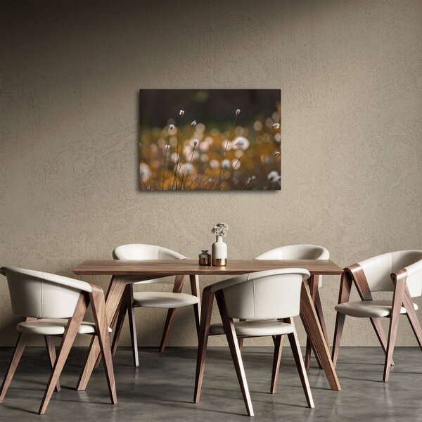 Obraz - Łąka z trawą bawełnianą N⁰2 (70x50 cm)