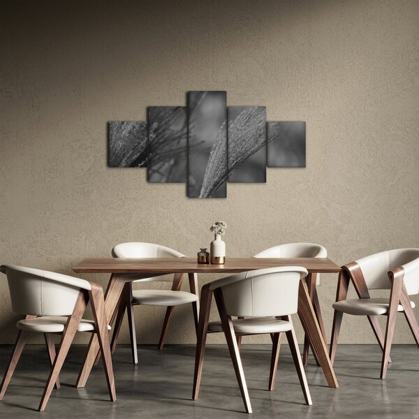 Obraz - Suszona trawa pampasowa (125x70 cm)