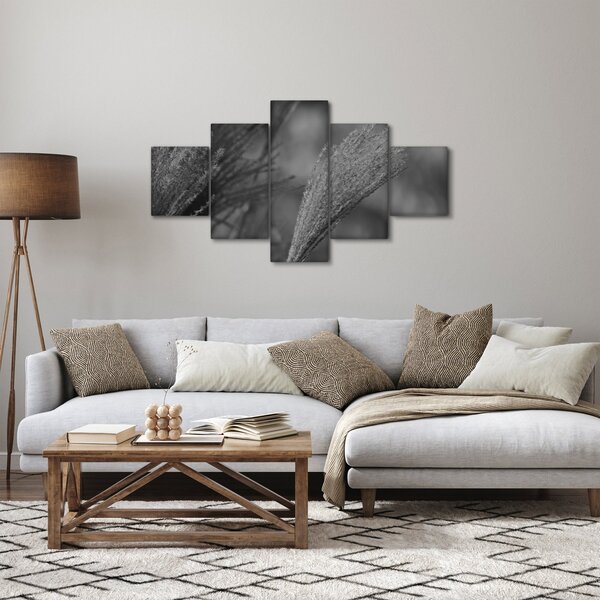 Obraz - Suszona trawa pampasowa (125x70 cm)