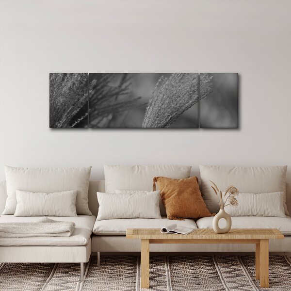 Obraz - Suszona trawa pampasowa (170x50 cm)