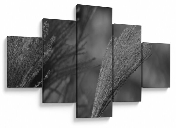 Obraz - Suszona trawa pampasowa (125x70 cm)