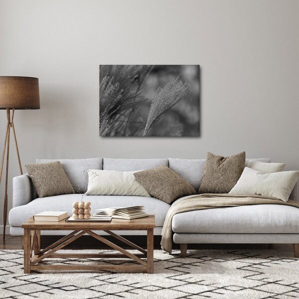 Obraz - Suszona trawa pampasowa (70x50 cm)