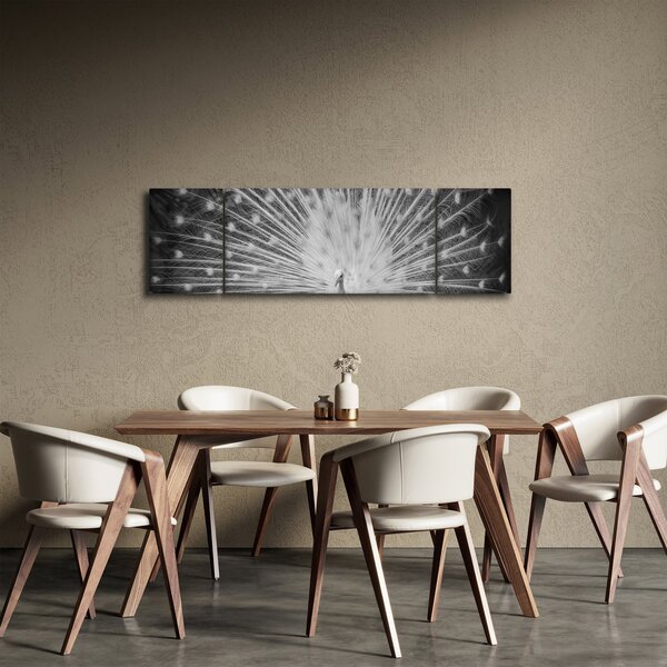 Obraz - Biały paw (170x50 cm)