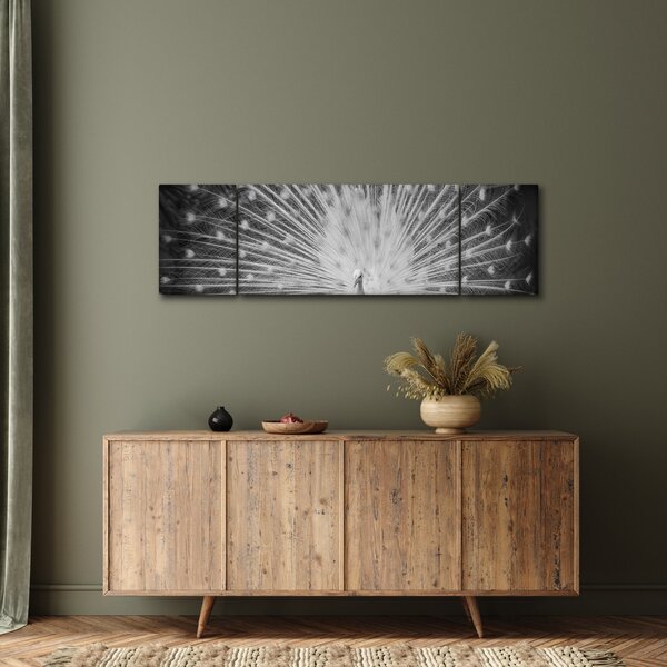 Obraz - Biały paw (170x50 cm)