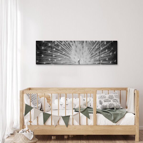 Obraz - Biały paw (170x50 cm)