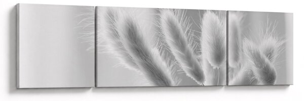 Obraz - Trawa z króliczym ogonkiem (170x50 cm)