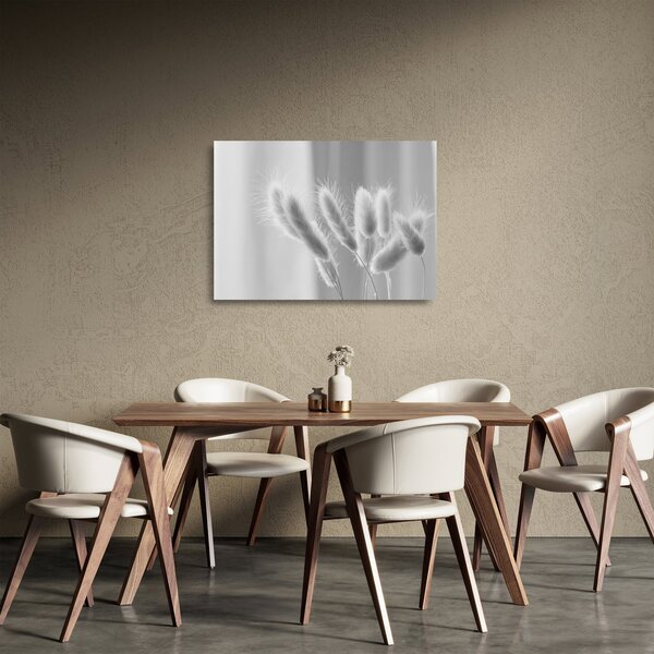 Obraz na szkle - Trawa z króliczym ogonkiem (70x50 cm)