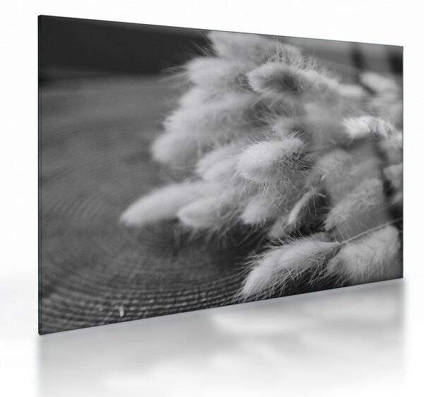 Obraz na szkle - trawa z króliczym ogonkiem na stole (70x50 cm)