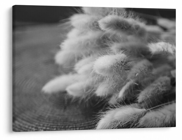 Obraz - trawa z króliczym ogonkiem na stole (70x50 cm)