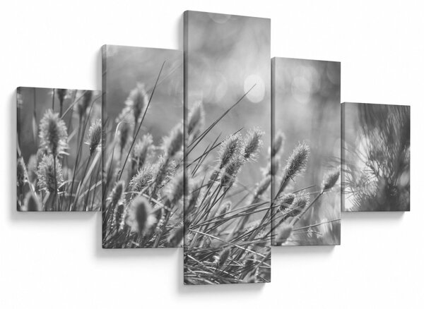 Obraz - Beżowa miękka trawa N⁰1 (125x70 cm)