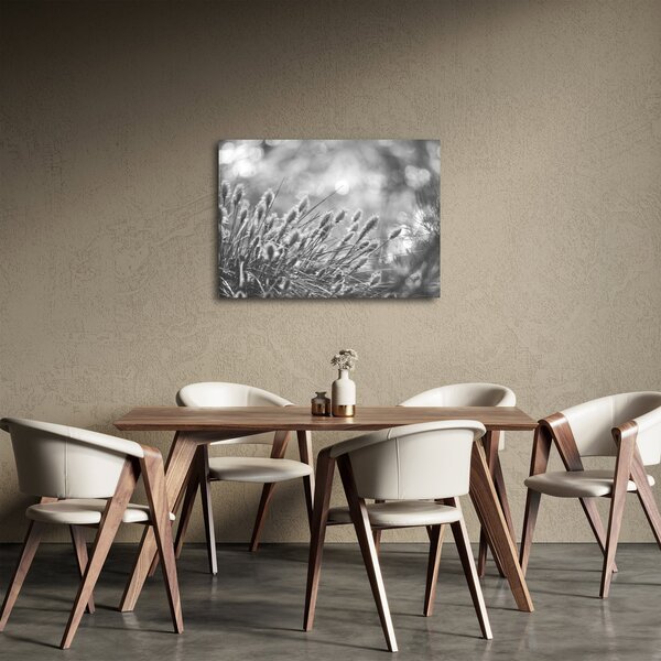 Obraz - Beżowa miękka trawa N⁰1 (70x50 cm)