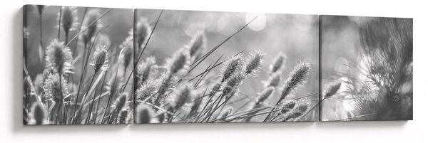 Obraz - Beżowa miękka trawa N⁰1 (170x50 cm)