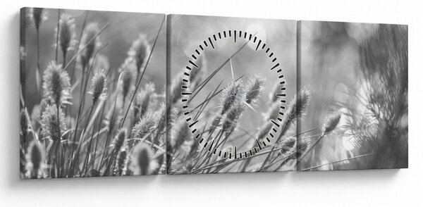 Obraz - Beżowa miękka trawa N⁰1 (z zegarem) (90x30 cm)