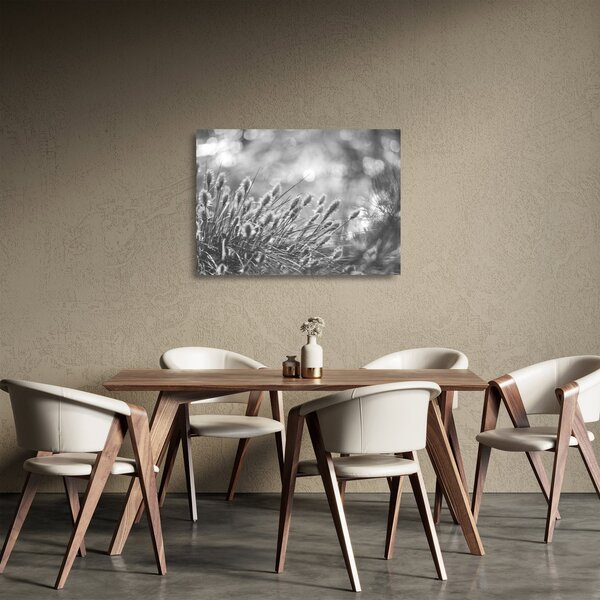 Obraz na szkle - Beżowa miękka trawa N⁰1 (70x50 cm)