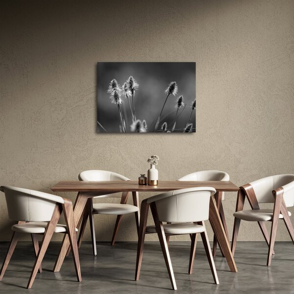 Obraz - Beżowa miękka trawa N⁰2 (70x50 cm)