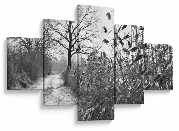 Obraz - Pola w zimie (125x70 cm)