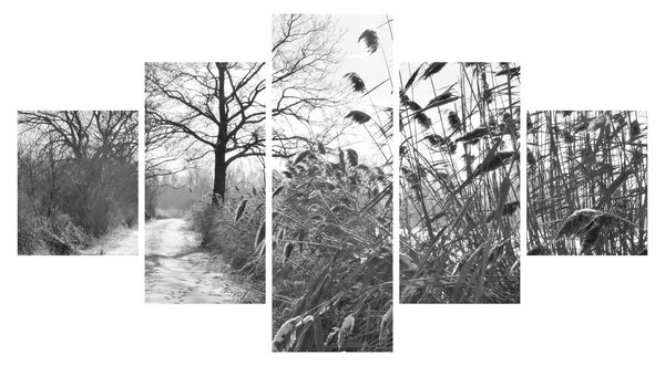 Obraz - Pola w zimie (125x70 cm)