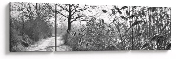 Obraz - Pola w zimie (170x50 cm)