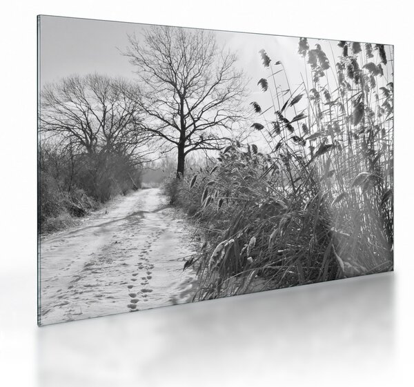 Obraz na szkle - Pola w zimie (70x50 cm)