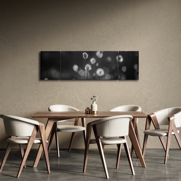 Obraz - Trawa bawełniana na łące (170x50 cm)