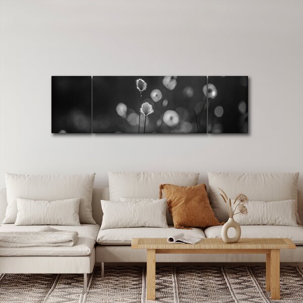 Obraz - Trawa bawełniana na łące (170x50 cm)