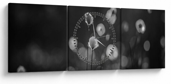 Obraz - Trawa bawełniana na łące (z zegarem) (90x30 cm)