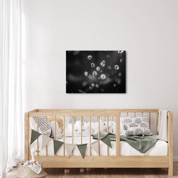 Obraz - Trawa bawełniana na łące (70x50 cm)