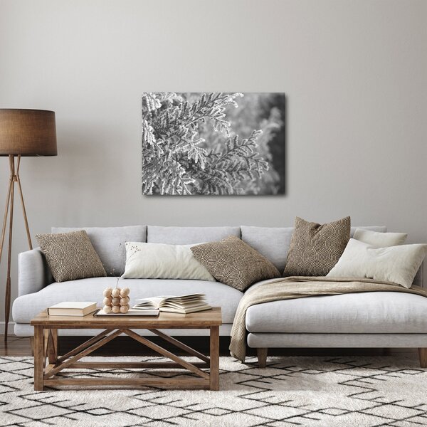 Obraz - Las świerkowy (70x50 cm)