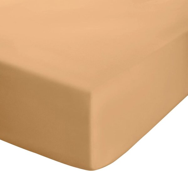 Żółtopomarańczowe prześcieradło z perkalu z gumką 90x190 cm Easy Iron Percale – Catherine Lansfield