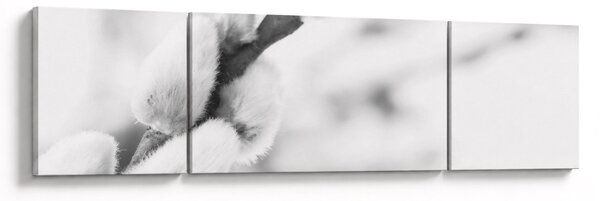 Obraz - Początek wiosny (170x50 cm)