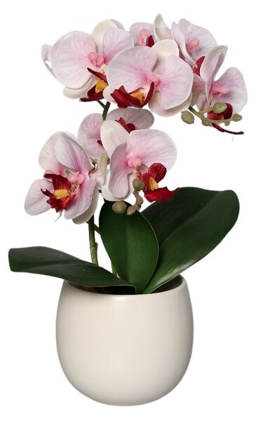 Sztuczna Orchidea w Doniczce 22 cm - Kolory - białoróżowy