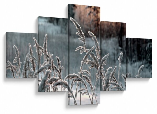 Obraz - Frozen Meadow (125x70 cm)