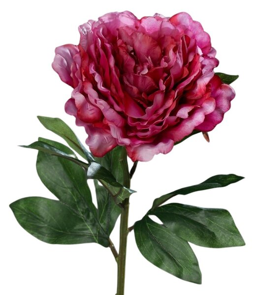 Piwonia Różowa 63 cm