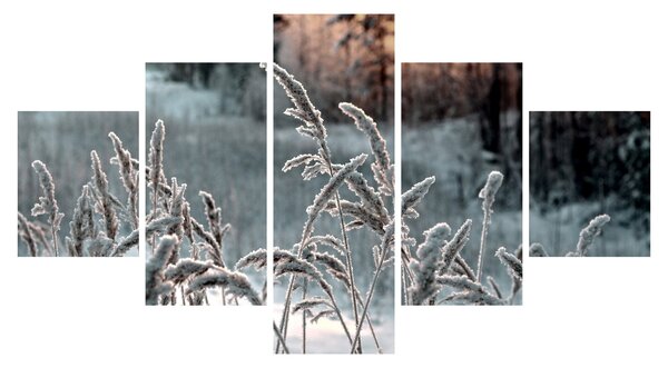 Obraz - Frozen Meadow (125x70 cm)