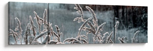 Obraz - Frozen Meadow (170x50 cm)